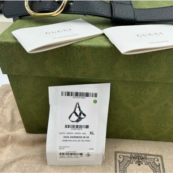 Gucci demetra , extra large leather dog harness made in Italy - Picture 12 of 14